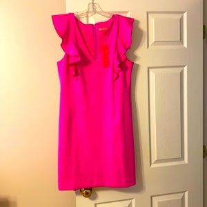 Brand new never worn Lily Pulitzer dress!
